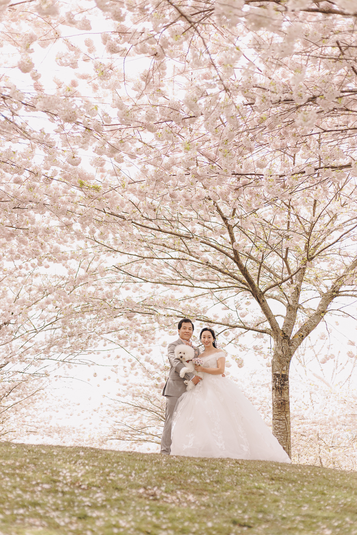 Wedding photoshoot picture of Cherie and Derrick