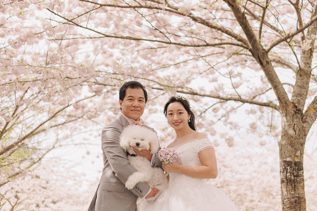 Wedding photoshoot picture of Cherie and Derrick